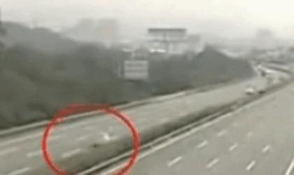 女星虞书欣司机被曝在高速上倒车，跟车粉丝竟效仿！警方回应