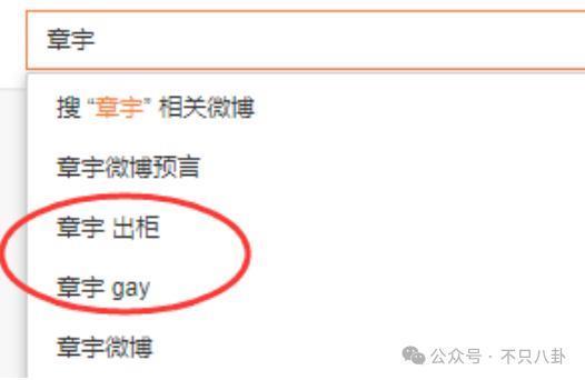 官宣恋情？原来真有人以为他们是一对真情侣啊……