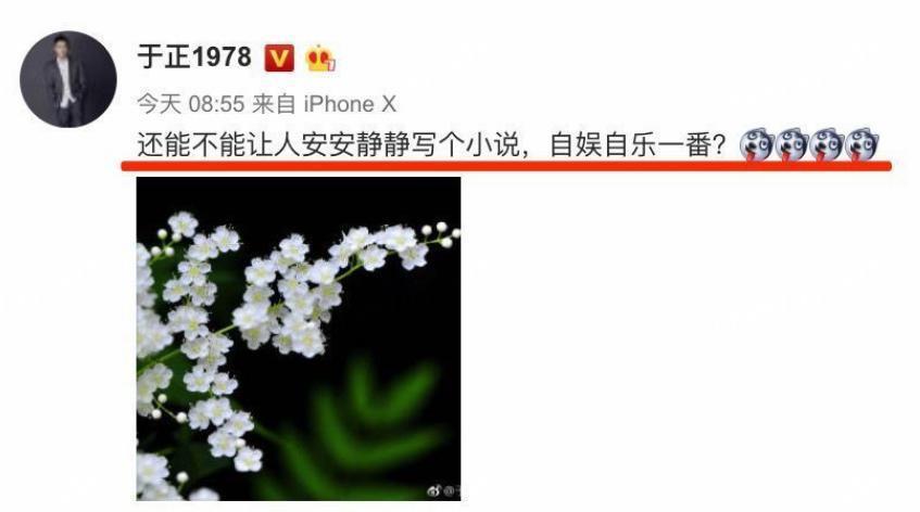 杨幂林心如翻身，都从”背叛“于正开始