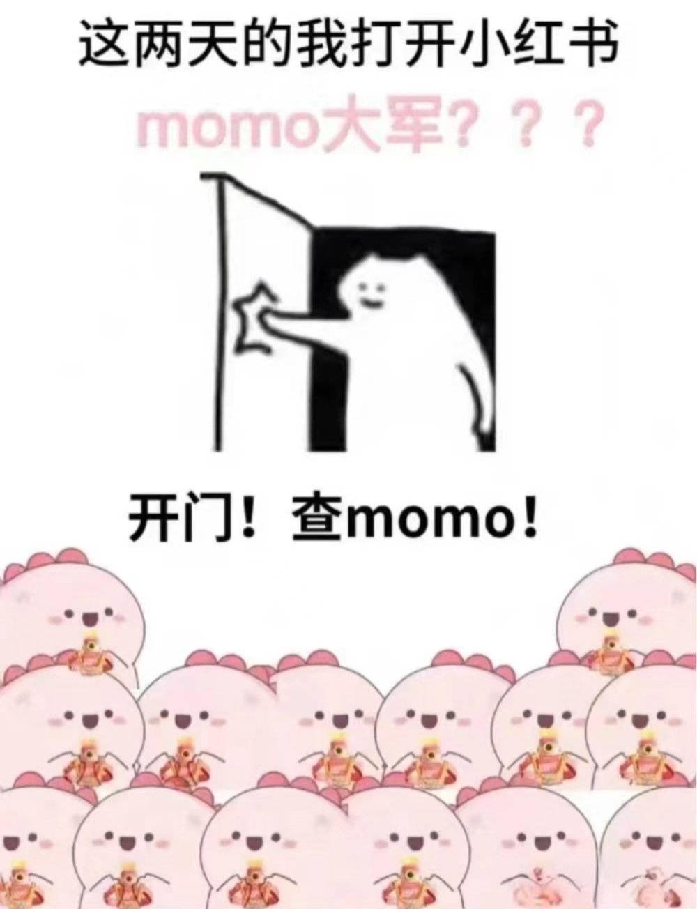 那个叫“momo”的人，怎么这么能说？