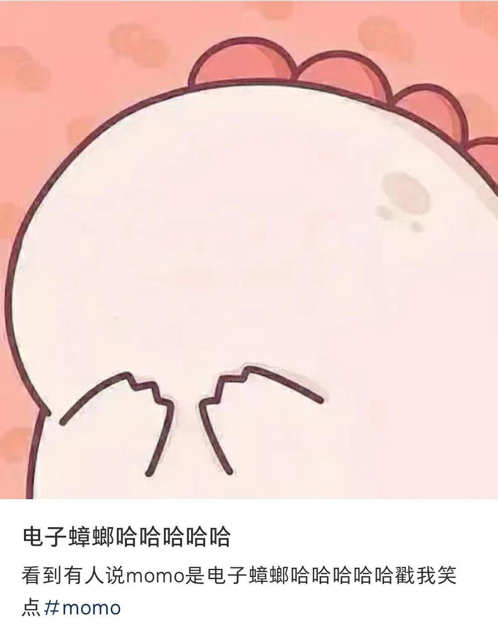 那个叫“momo”的人，怎么这么能说？