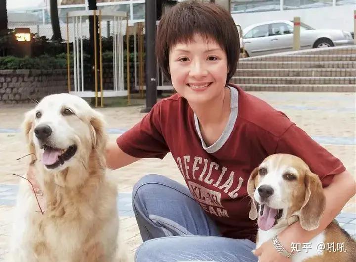 香港8大艳星差距太大，有人嫁富豪，有人风韵犹存，有人发福