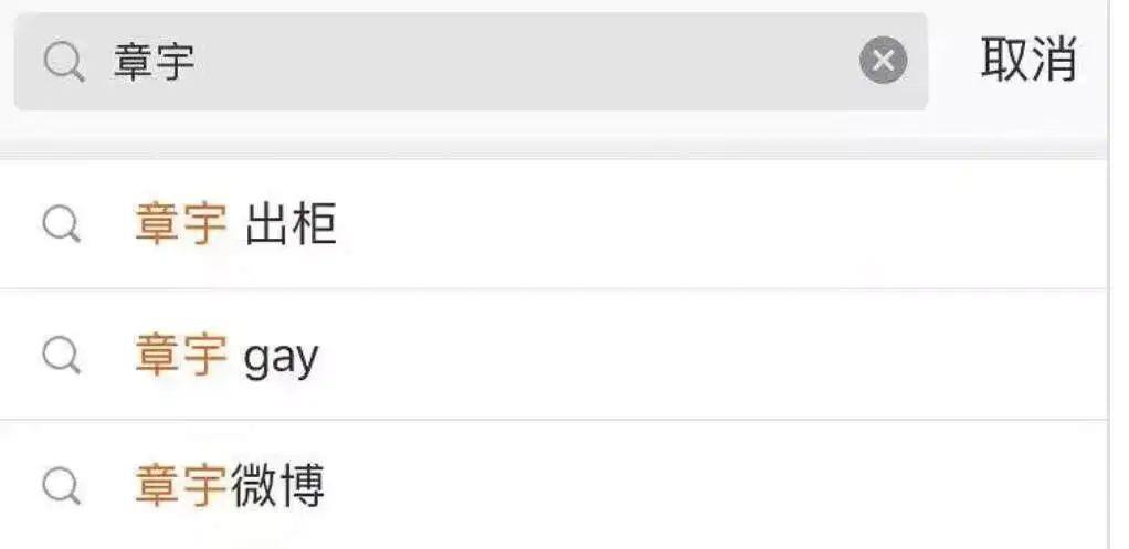 不是吧…他俩真谈上了？