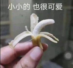 啧啧，小米这满血小屏，果然没对手