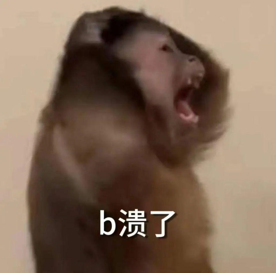 啧啧，小米这满血小屏，果然没对手