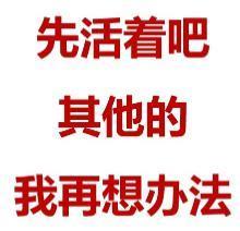 2024第一匹营销黑马来了