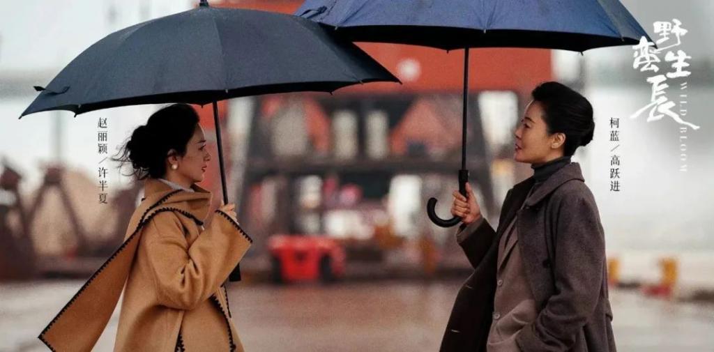 她的脸，这么快就崩了？