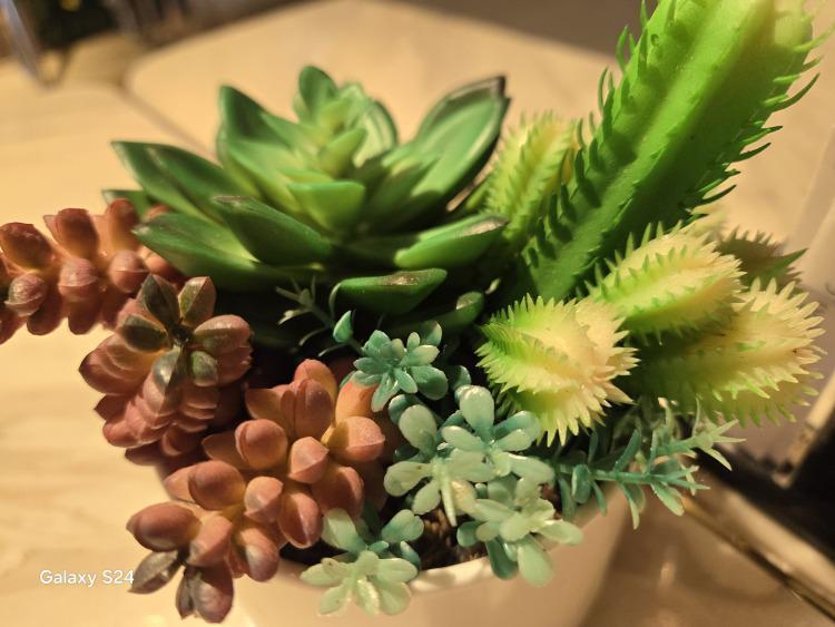 三星Galaxy S24：AI的终极形态，就是让你感受不到它的存在