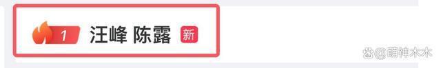 汪峰发声否认再婚传闻！称跟陈露根本没有交集