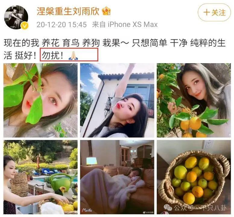 出轨、暗算、自杀…放眼整个内娱这也是顶级炸裂的瓜了！