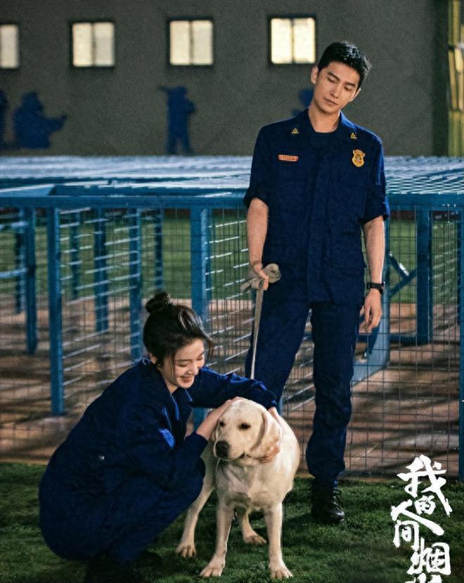 央视终于对“性缘脑”出手了，孙俪的话应验了