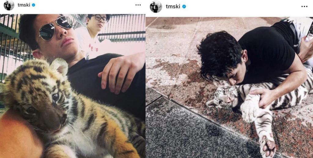顶豪王室里网红王子大婚,美若天仙的王妃什么来头?