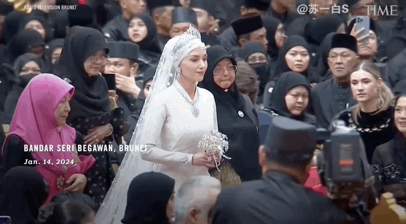 顶豪王室里网红王子大婚,美若天仙的王妃什么来头?