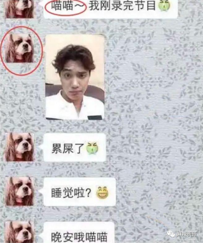 啊，又被骂了啊…