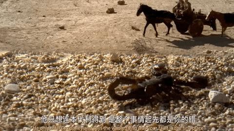 HBO限制级剧王，突然停播