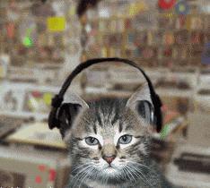 手机听歌“王炸”配置，被网友扒到了！