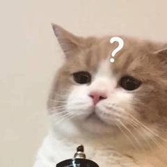 手机听歌“王炸”配置，被网友扒到了！