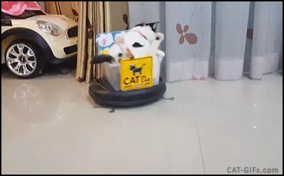 为什么车会知道你的性生活