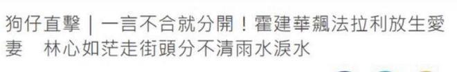 林心如晒照庆生，与许玮宁同框似两代人