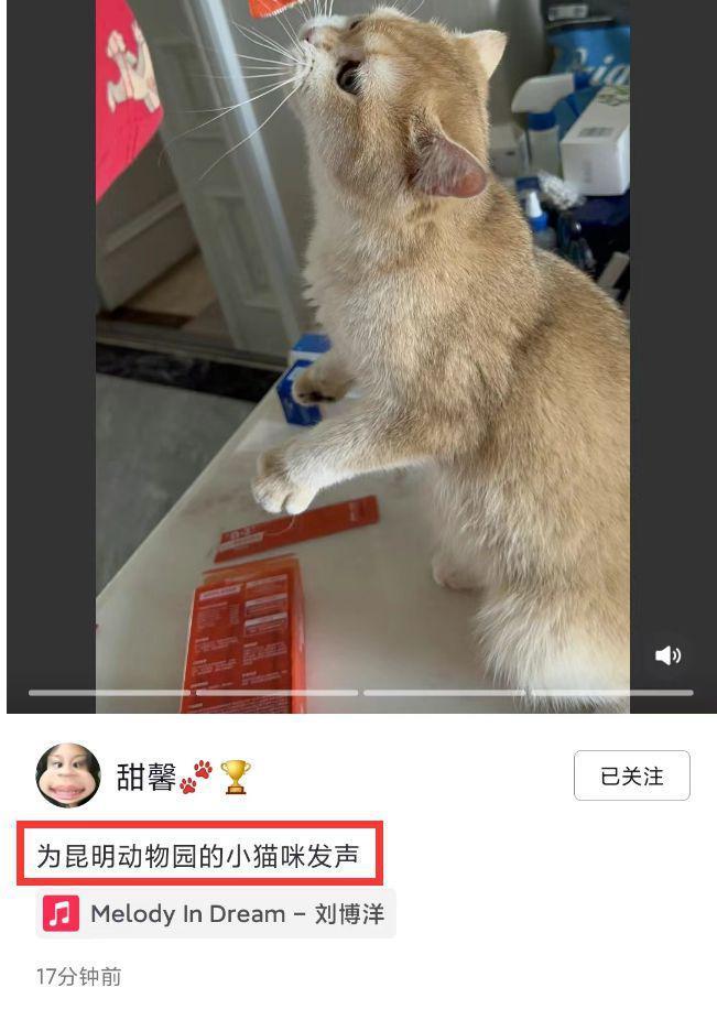 格局相差大！王诗龄戴6万元项链跳舞，甜馨为昆明动物园发声