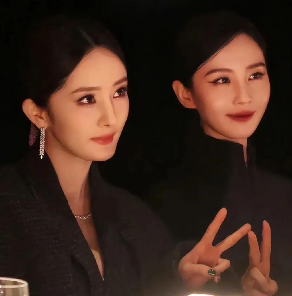 张颂文没说错，从赵丽颖身上：我看到了娱乐圈残酷的真相