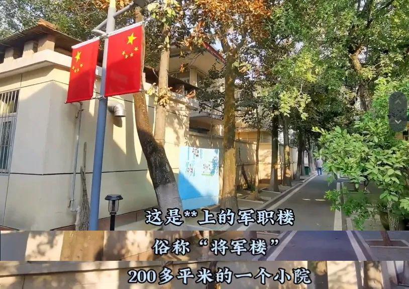 难怪都说她是内娱最抢手的嫂子？