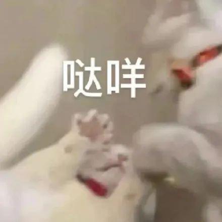 直接送Mate60？！今年支付宝集五福彻底变了