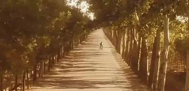 姜文“封神”之作，120斤宁静「牺牲最大」的作品