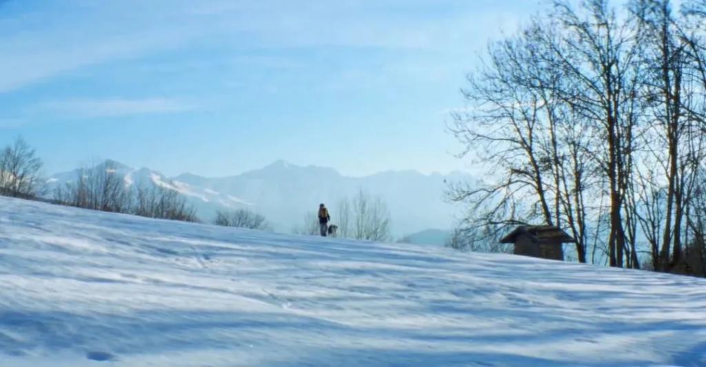 不是…杀了丈夫，还能靠儿子洗白？