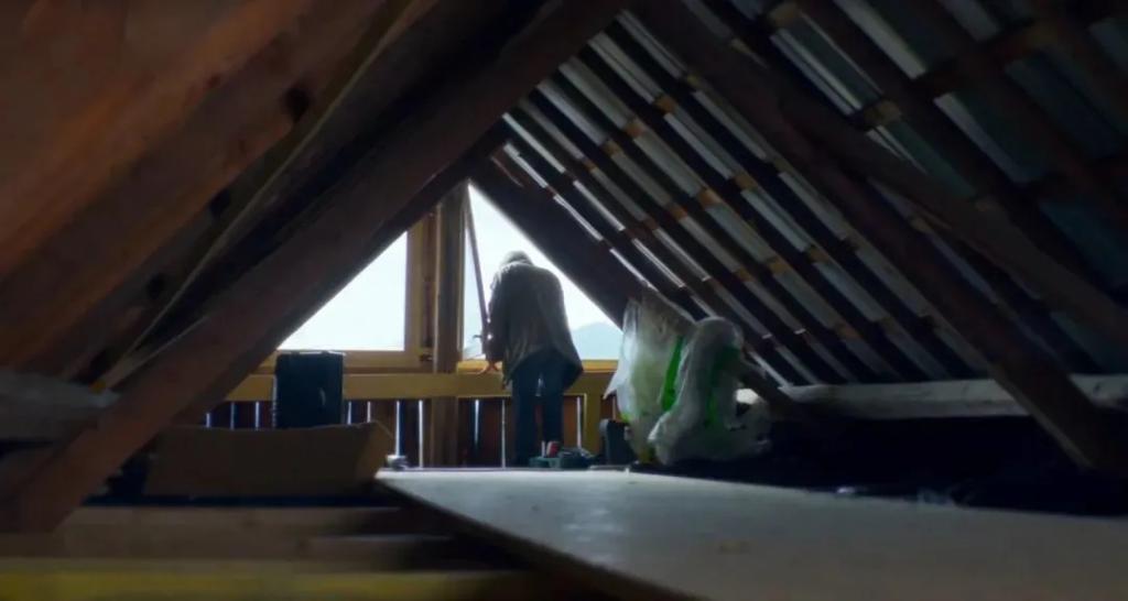 不是…杀了丈夫，还能靠儿子洗白？