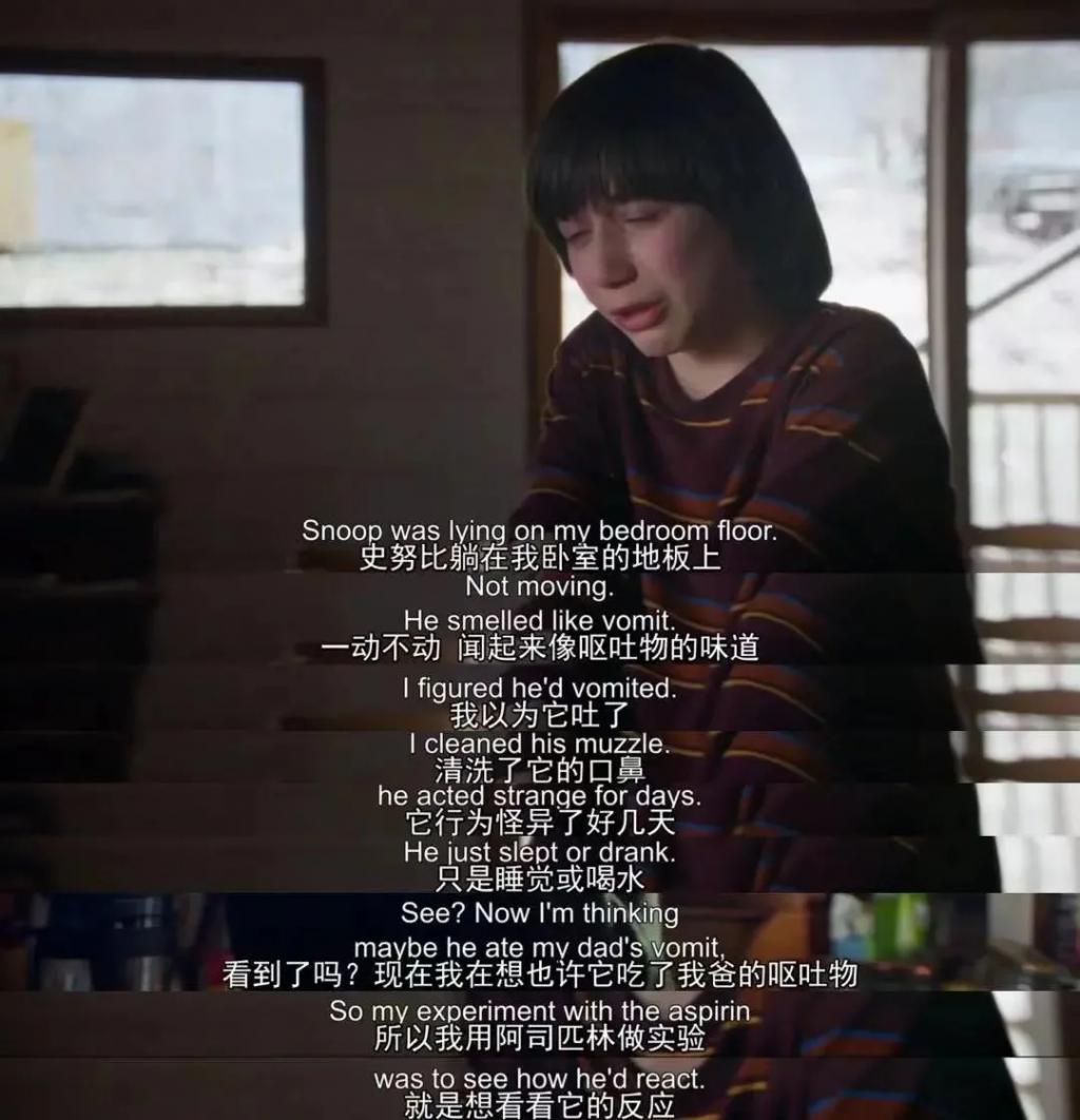 不是…杀了丈夫，还能靠儿子洗白？