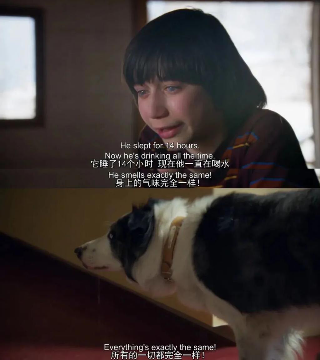 不是…杀了丈夫，还能靠儿子洗白？