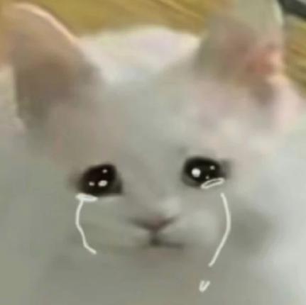 直接起飞！时隔两年这国产手机终于崛起啦