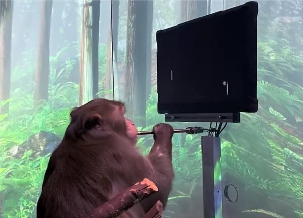 重大突破！马斯克宣布首例人类大脑芯片植入：恢复良好