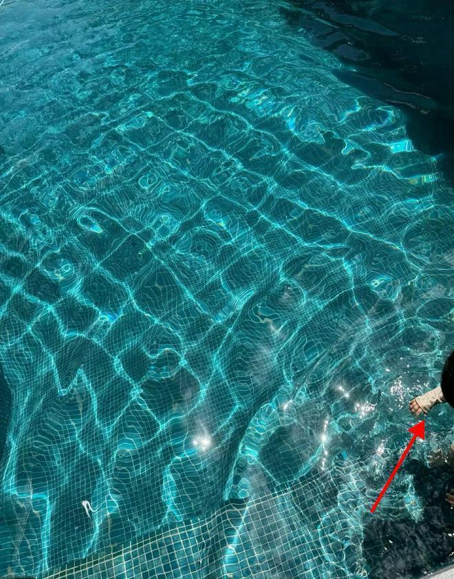 程晓玥回澳洲婆家度假，9个月胖豆近状曝光，首次体验游泳