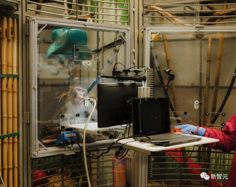 Neuralink内部实验室曝光！7年计划2.2万例手术，为对抗超级AI搞研发