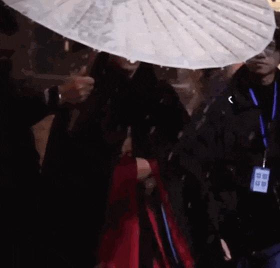 当肖战跟张婧仪站在一起，我才彻底明白，什么叫顶级骨相