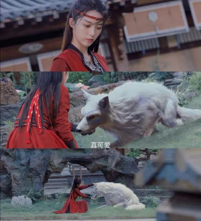 大扑特扑,虞书欣别夹了