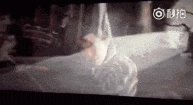 内娱又闹笑话了，这次脸全丢没了