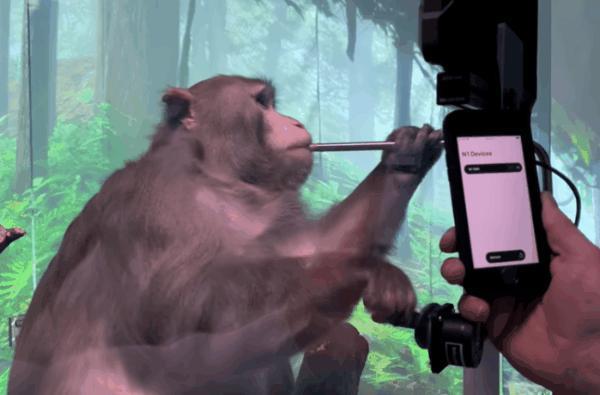 意念控制成真？人类首例脑机接口手术完成