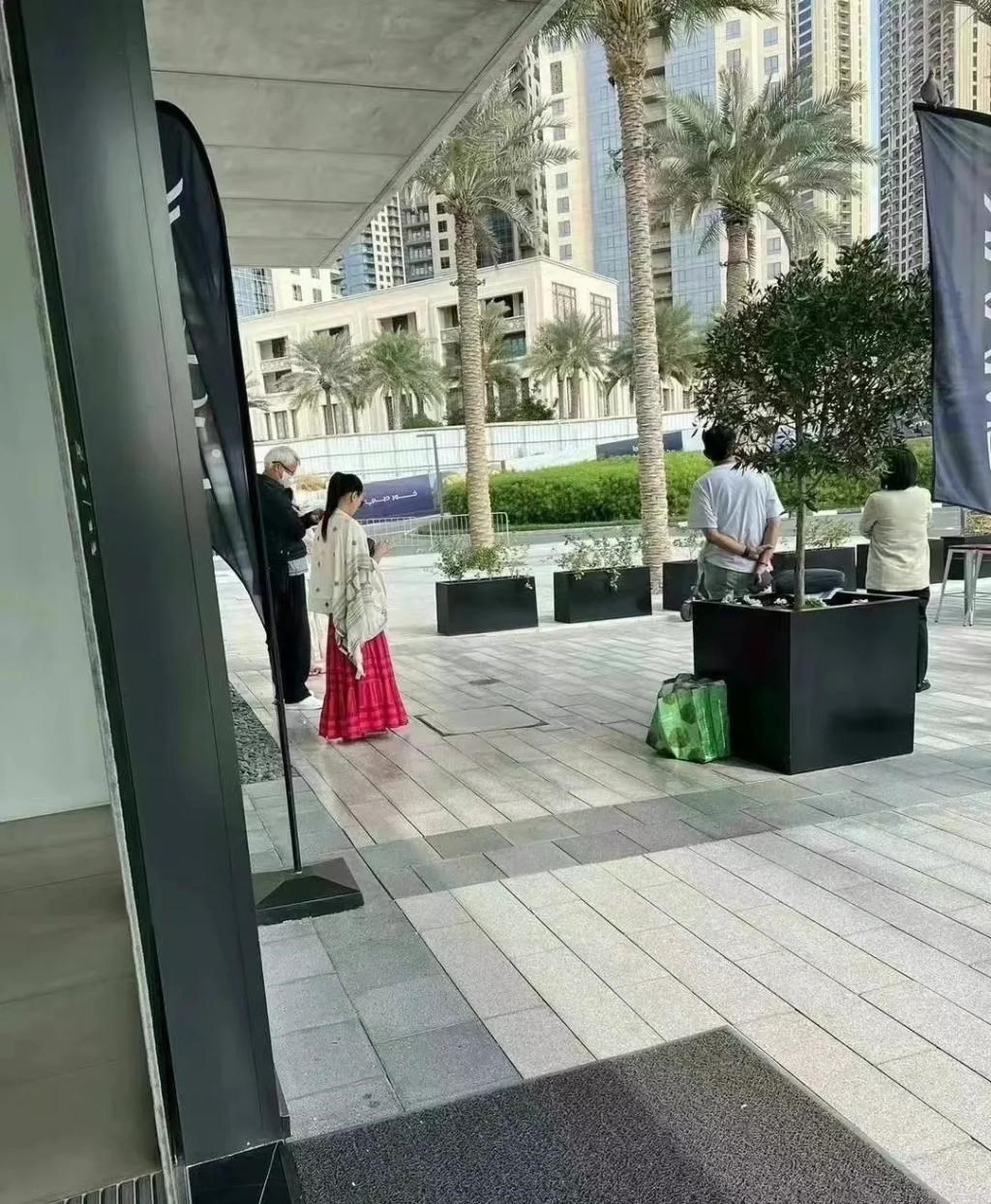 网友曝张庭夫妇迪拜买房 豪掷1亿买6套别墅