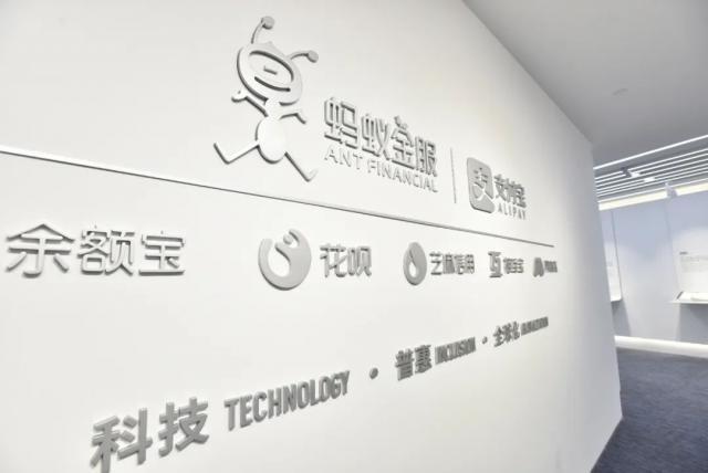 当蚂蚁不再姓“马”