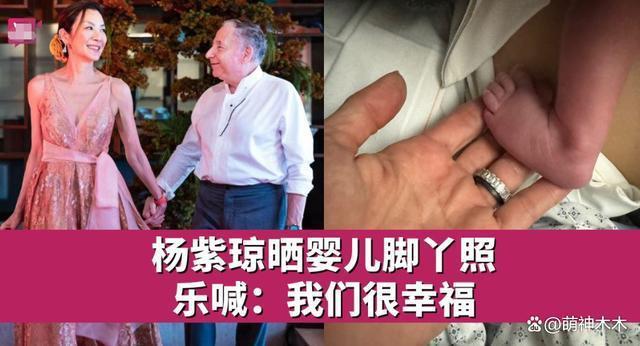 杨紫琼晒婴儿照被指回击继子争产，对方在她婚礼拒绝合影