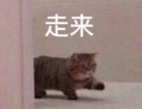 999的旗舰配置！中端机市场要变天了…