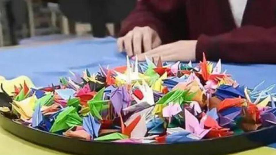 日本记者吐槽民众给震区寄千纸鹤：占用运输资源