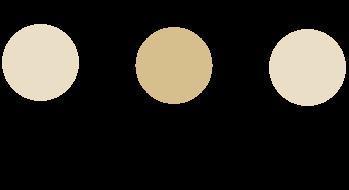 新年首位！马尔代夫总统将访华