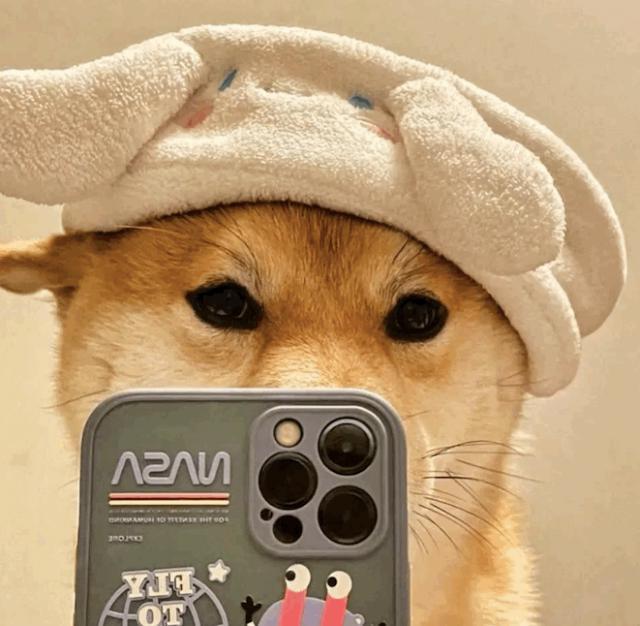 4.抖音网红的炸裂吃相，粉碎了我的良心