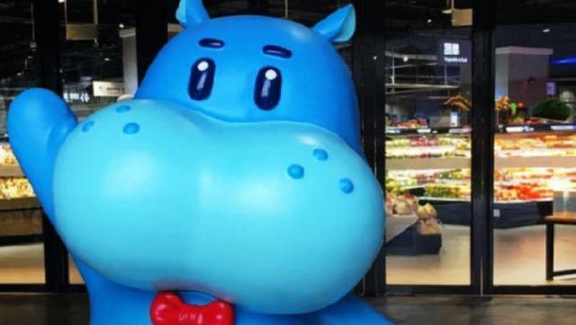 盒马怎么老转弯？