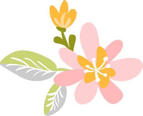 女艺人们集体状态回春，是动用了什么科技吗？