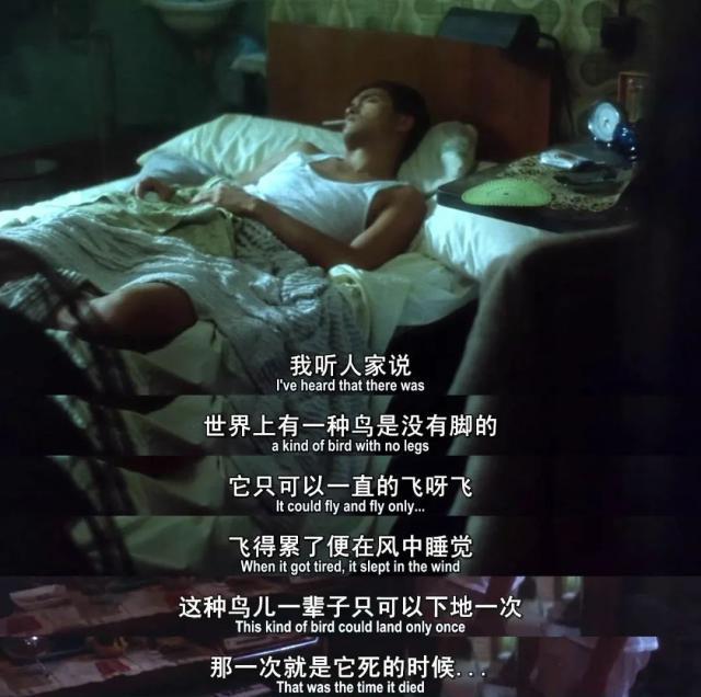 他的后宫，混出来三位女魔头